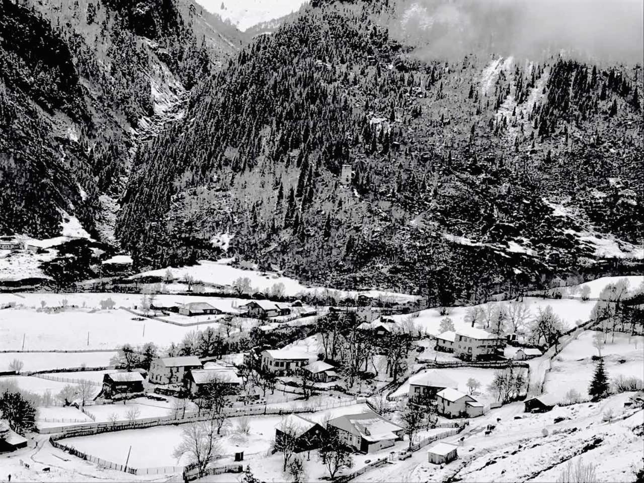 Ciuri'S Guesthouse Zhabeshi エクステリア 写真